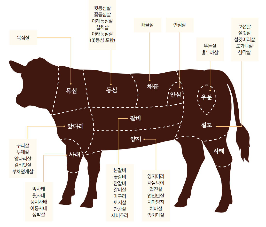 소고기 부위별 위치와 특징 삽화